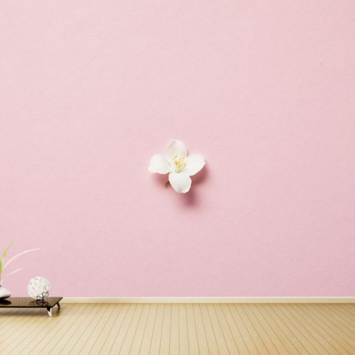 Minimalistic_2a