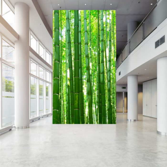 Nature_5a