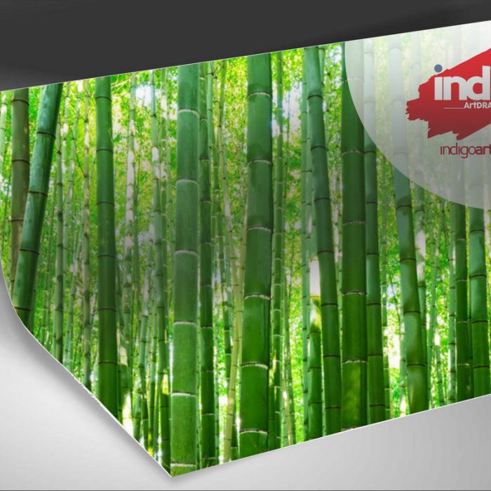 Nature_5d